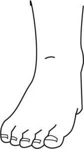 Como desenhar pés Como desenhar pés