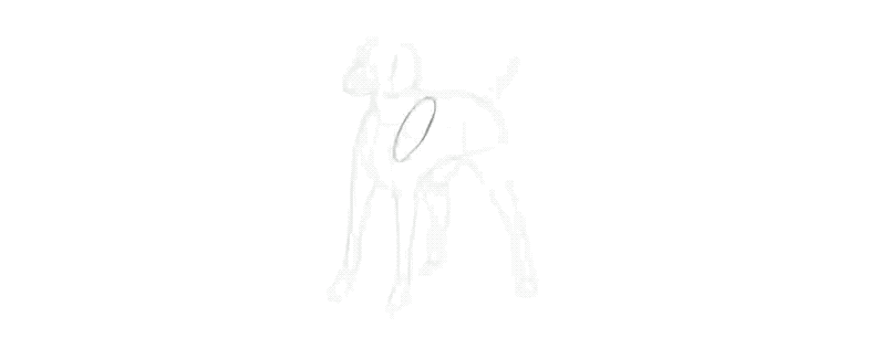 come disegnare un cane step gif - Como desenhar um cachorro