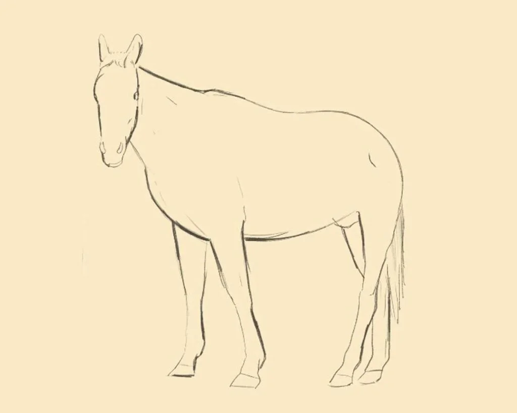 Como Desenhar um Cavalo Passo a Passo: Guia Completo