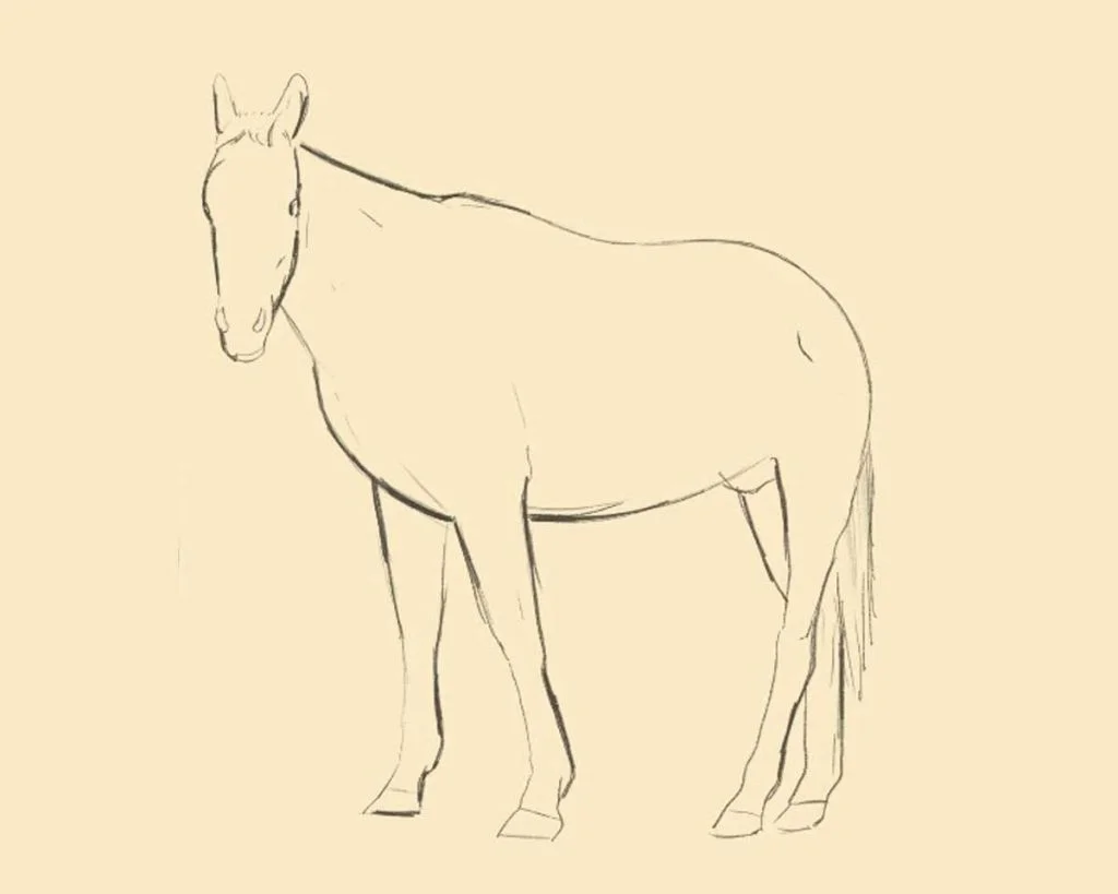 Desenho de cavalo passo a passo