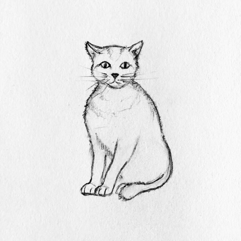 → Como desenhar um gato passo a passo: Tutorial de desenho fácil