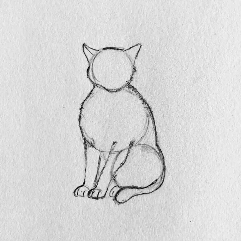 Como desenhar um gatinho fofo 