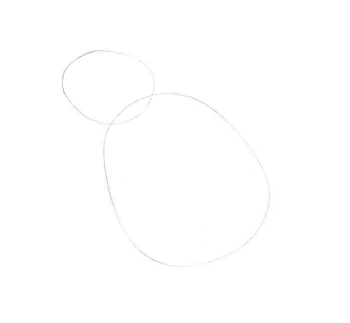how to draw a frog step by step 3 - Como Desenhar Um Sapo